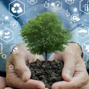 Green IT Practices for a Sustainable Future Whitepaper
