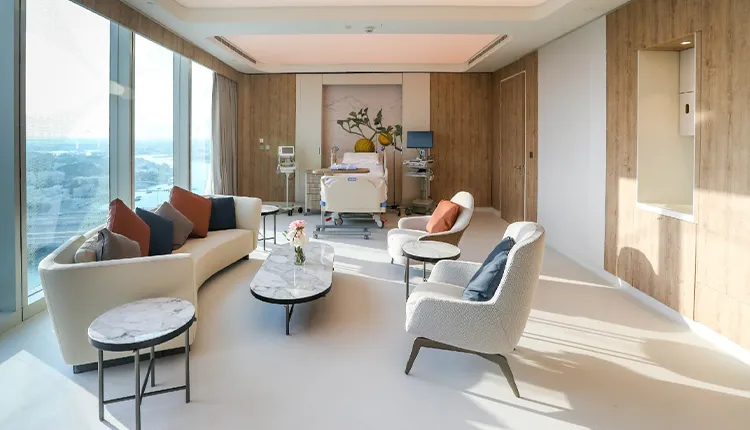 A luxurious hospital room with a sitting area featuring a curved sofa and armchairs, a medical bed, and large windows offering an expansive view, all set against modern wood paneling.
